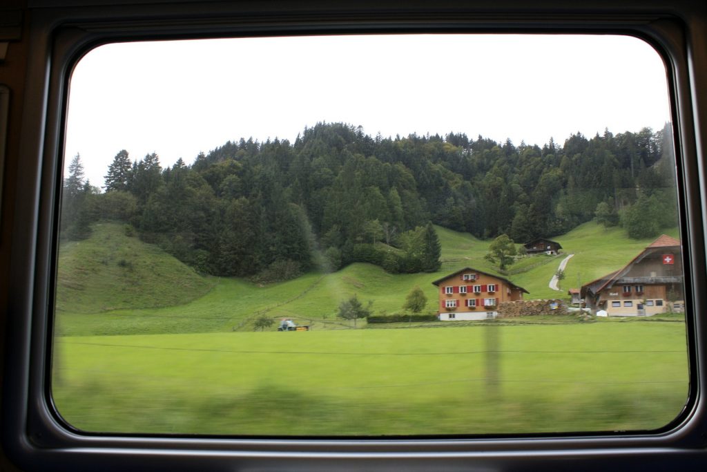 вид из окна поезда